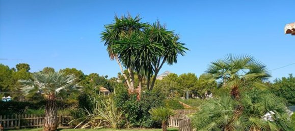 Casa T3 em Alicante, Spain N.º 152221 31