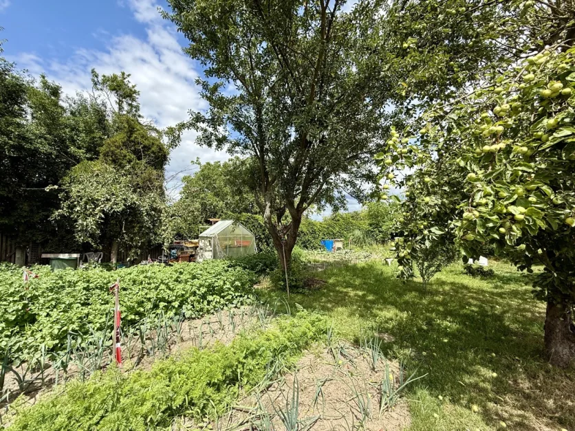  Land in Barnim, Germany No. 371829