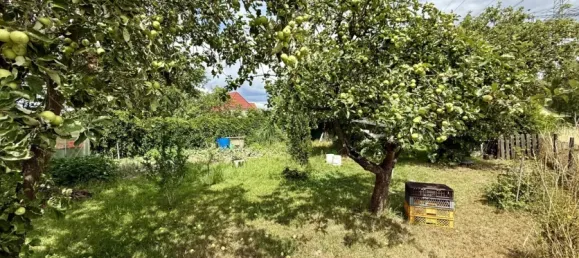  Land in Barnim, Germany No. 371829 2