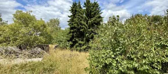  Land in Barnim, Germany No. 371829 3