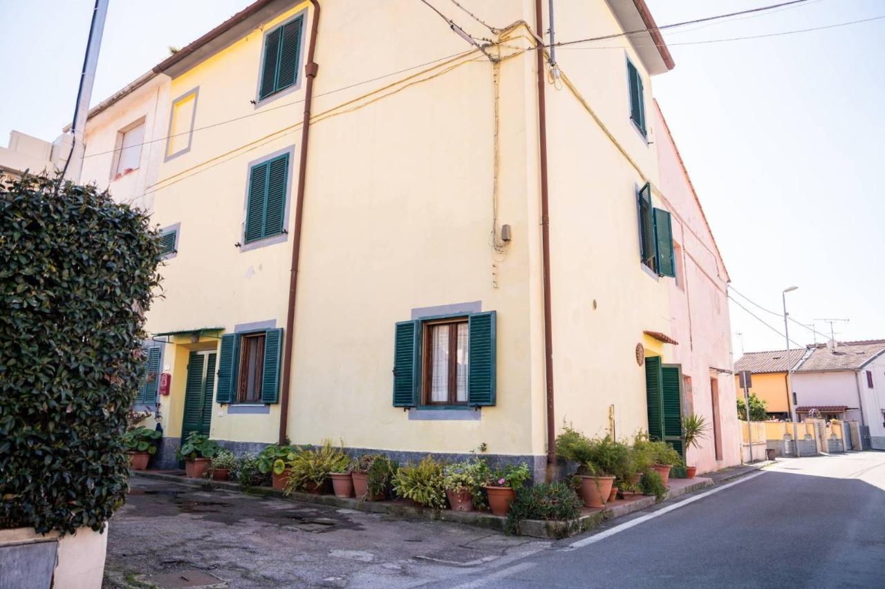 6-Zimmer Haus in Vecchiano, Italy, Nr. 37663
