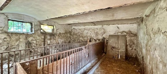 Дом с 2 комнатами в Дразенхофен, Австрия № 251425 11