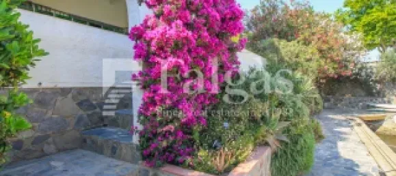 5 غرف نوم منزل في Empuriabrava, Spain رقم 159133 34