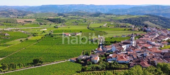 10 bedrooms Land in Favaios, Portugal No. 99550 26