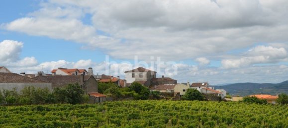 10 bedrooms Land in Favaios, Portugal No. 99550 25