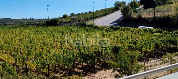 10 bedrooms Land in Favaios, Portugal No. 99550 6