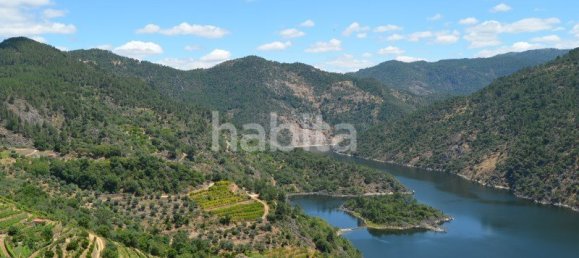 10 bedrooms Land in Favaios, Portugal No. 99550 29