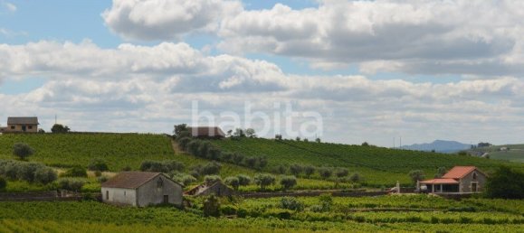 10 bedrooms Land in Favaios, Portugal No. 99550 24