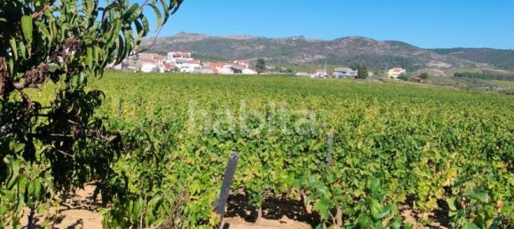10 bedrooms Land in Favaios, Portugal No. 99550 4
