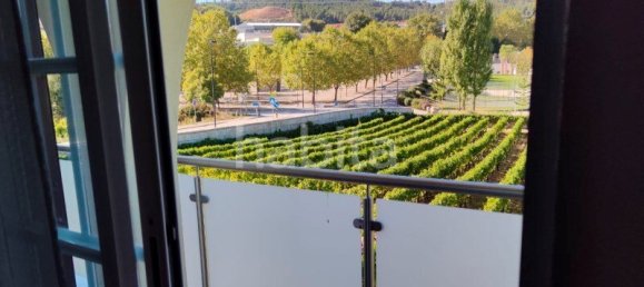 10 bedrooms Land in Favaios, Portugal No. 99550 7