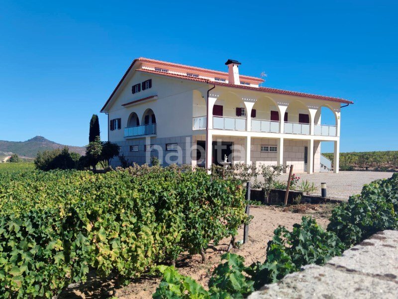 10 bedrooms Land in Favaios, Portugal No. 99550