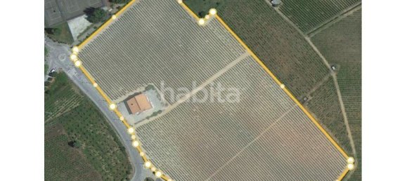 10 bedrooms Land in Favaios, Portugal No. 99550 3