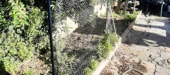 3 rooms Apartment in Borgo Mantovano, Italy No. 81392 18