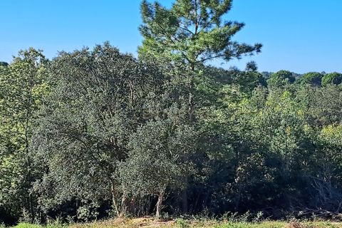  Land in Setubal, Portugal No. 281637