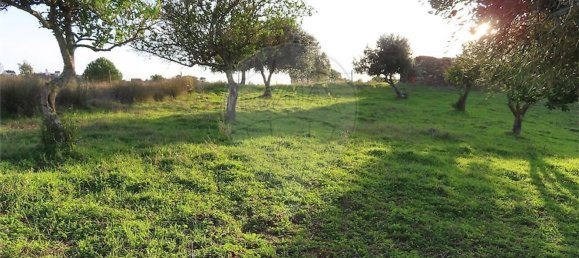 1 bedroom House in Vila Velha de Rodao, Portugal No. 57925 9