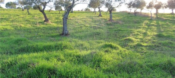 1 bedroom House in Vila Velha de Rodao, Portugal No. 57925 14