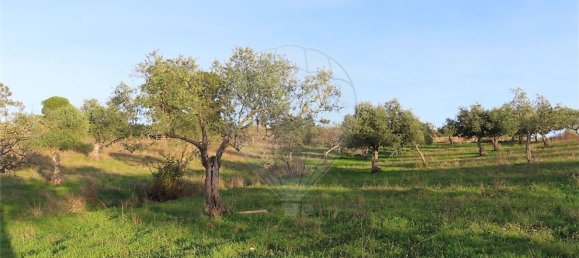 1 bedroom House in Vila Velha de Rodao, Portugal No. 57925 16