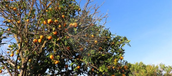 1 bedroom House in Vila Velha de Rodao, Portugal No. 57925 5