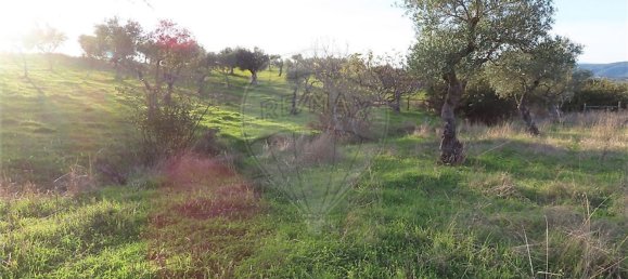 1 bedroom House in Vila Velha de Rodao, Portugal No. 57925 11