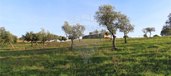 1 bedroom House in Vila Velha de Rodao, Portugal No. 57925 15