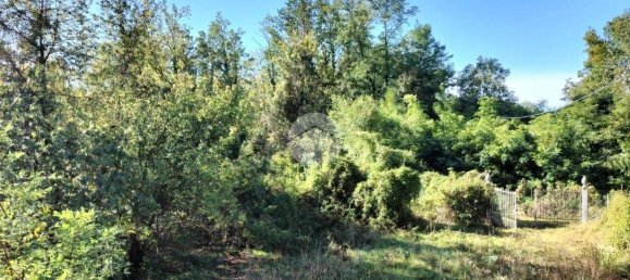 4 غرف نوم منزل في Bene Vagienna, Italy رقم 110095 18