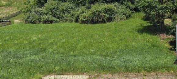  Land in Kaindorf, Austria No. 245584 7