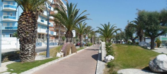 2 rooms Commercial property in San Benedetto del Tronto, Italy No. 118246 4