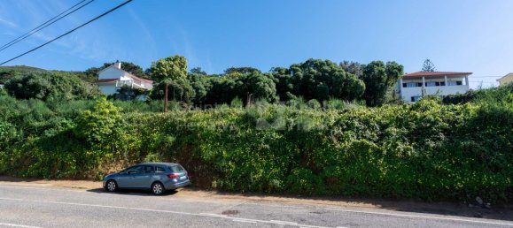 2240m² Land in Cascais, Portugal No. 123826 25
