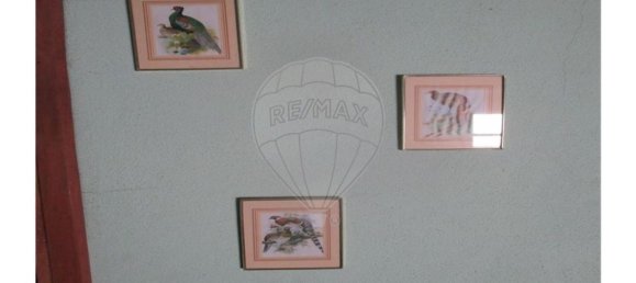 1 Schlafzimmer Haus in Lardosa, Portugal, Nr. 189190 7