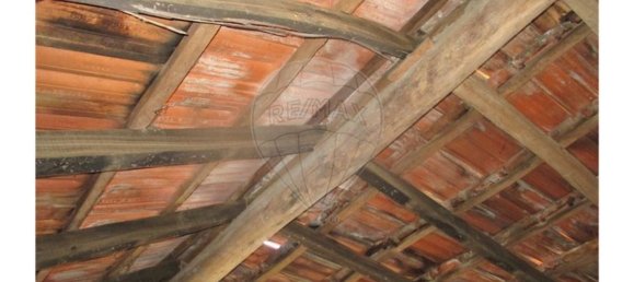 1 Schlafzimmer Haus in Lardosa, Portugal, Nr. 189190 19