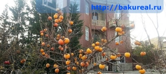 8 bedrooms House in Surakhany, Azerbaijan No. 220 24