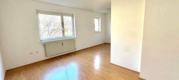 Студия в Ветцельсдорф, Австрия № 165079 2