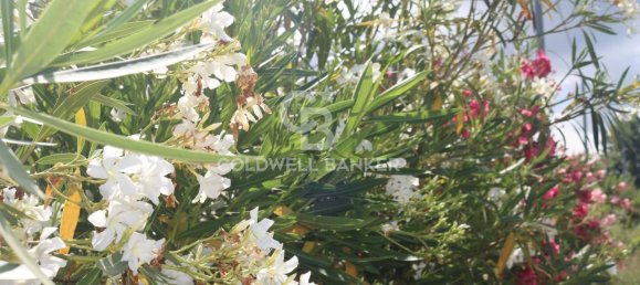 6 rooms Apartment in Agropoli, Italy No. 111253 32