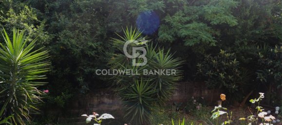 6 rooms Apartment in Agropoli, Italy No. 111253 13