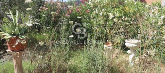 6 rooms Apartment in Agropoli, Italy No. 111253 26