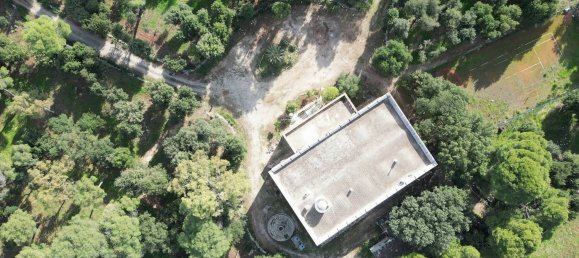 24 rooms Villa in San Vito dei Normanni, Italy No. 236537 16