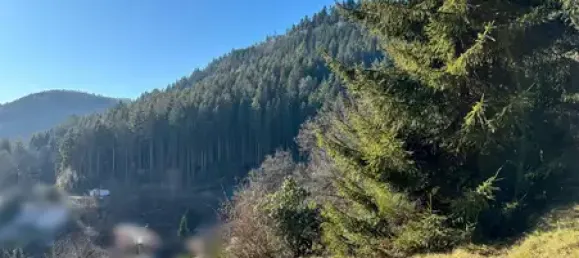 Terreno en Calw, Germany No. 39757 10