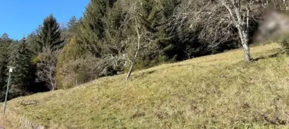 Terreno en Calw, Germany No. 39757 9