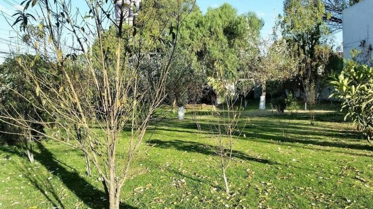  قطعة أرض في Ciudad Lopez Mateos, Mexico رقم 204120