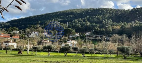 3 bedrooms House in Caminha, Portugal No. 87645 4