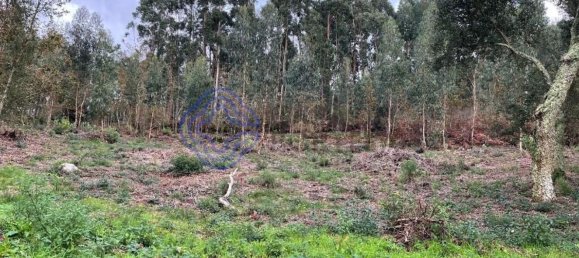 3 bedrooms House in Caminha, Portugal No. 87645 8