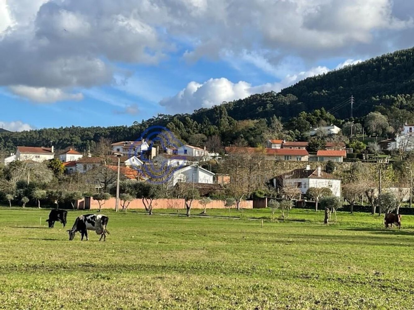 3 bedrooms House in Caminha, Portugal No. 87645