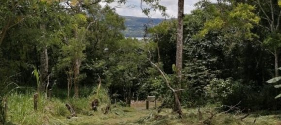 Земельный участок в Тиларан, Коста-Рика № 1548 2