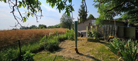 Дом с 5 комнатами в Мансфельд-Зюдгарц, Германия № 162539 6