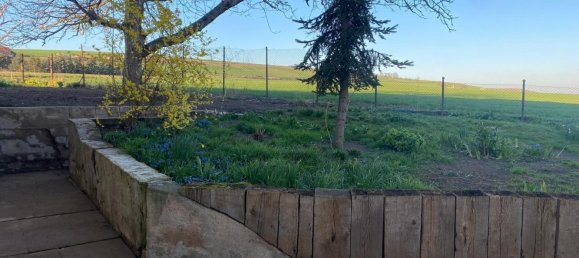 Дом с 5 комнатами в Мансфельд-Зюдгарц, Германия № 162539 4