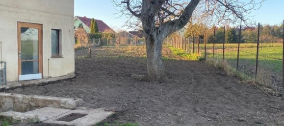 Дом с 5 комнатами в Мансфельд-Зюдгарц, Германия № 162539 5