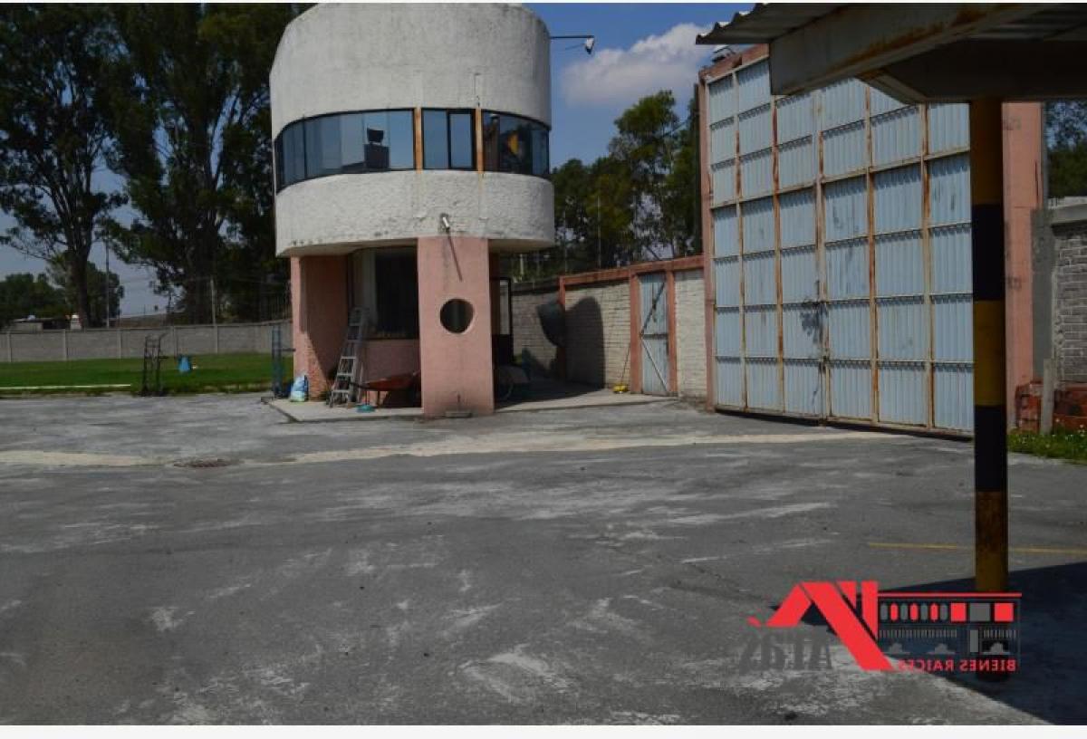  Commercial property in Mexico No. 202473