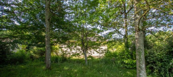 3 bedrooms House in Chatres-sur-Cher, France No. 63685 13