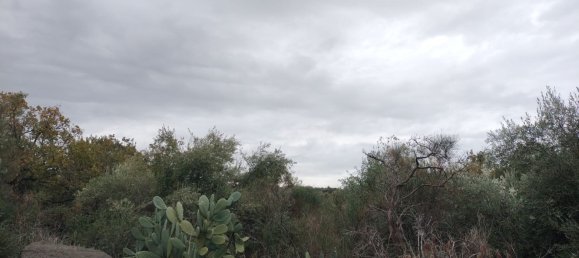 Grundstück in San Pietro Clarenza, Italy 30000m², Nr. 160055 5