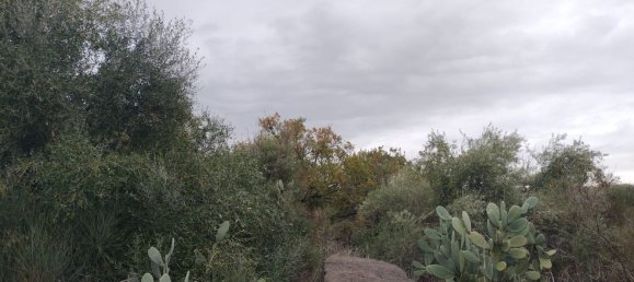 Grundstück in San Pietro Clarenza, Italy 30000m², Nr. 160055 3